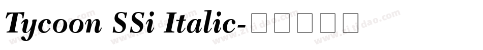 Tycoon SSi Italic字体转换